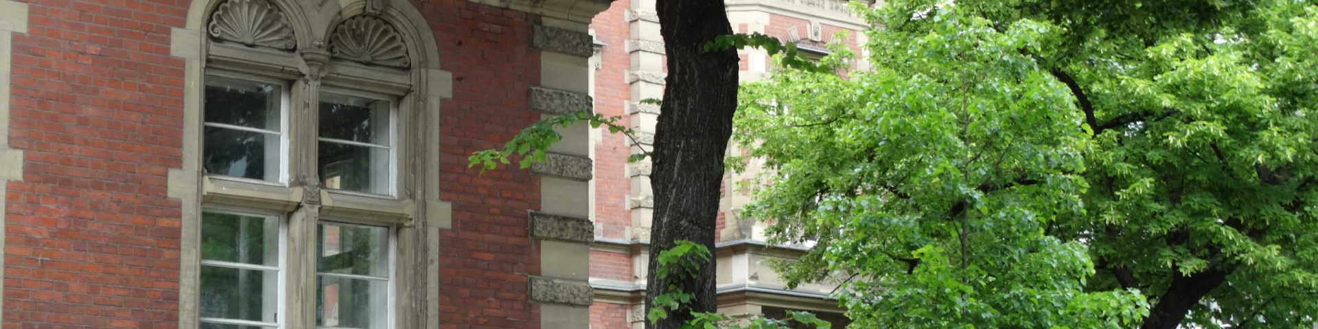 Dsc01429