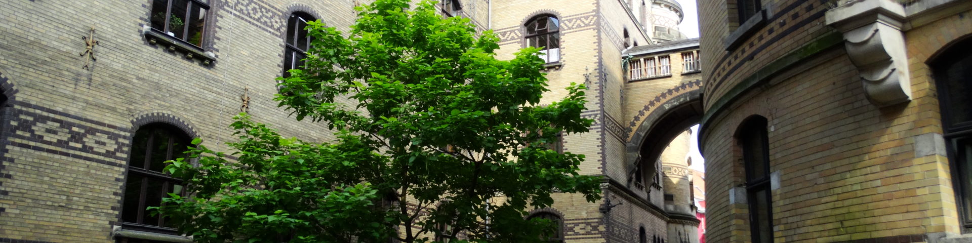 Dsc03686